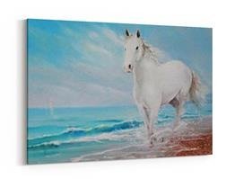 Obraz na płótnie - Biały koń nad brzegiem morza - 5017