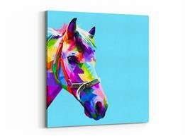 Obraz na płótnie - Kolorowy koń - 5052