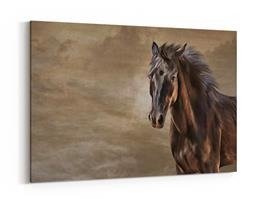 Obraz na płótnie - Namalowany koń na brązowym tle - 5028