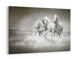 Obraz na płótnie - Stado białych koni biegnących przez wodę - 5041