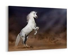 Obraz na płótnie - Szary koń andaluzyjski w burzy pustynnej - 5042