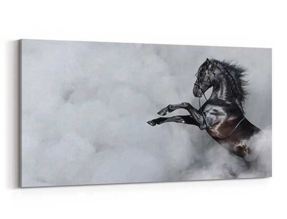 Obraz na płótnie - Czarny hiszpański koń w dymie - 5005