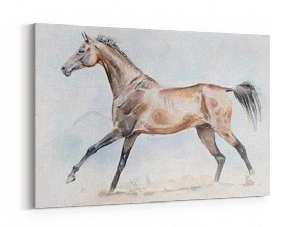 Obraz na płótnie - Koń achał tekiński - 5019