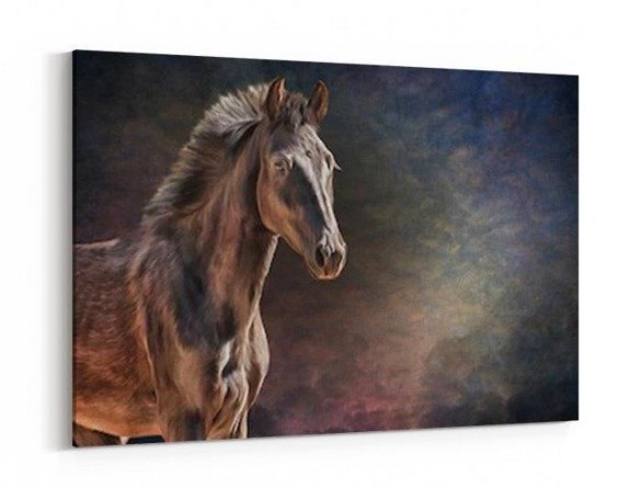 Obraz na płótnie - Namalowany portret konia w stylu vintage - 5033